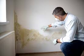 Best Emergency Mold Remediation  in Baldwin, FL